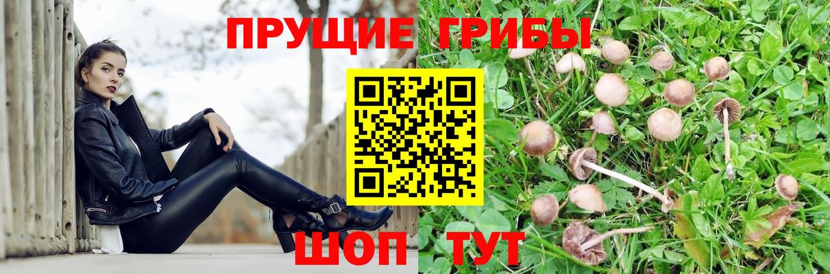 Галлюциногенные грибы GOLDEN TEACHER Ижевск
