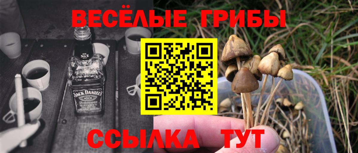 Ижевск  Псилоцибиновые грибы MAGIC MUSHROOMS  Вход с VPN 