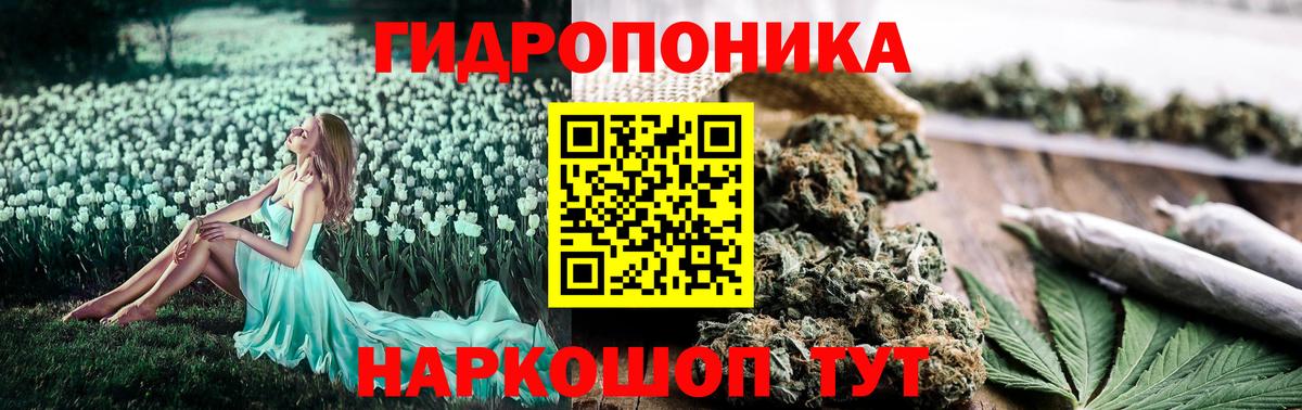 Бошки марихуана Amnesia  Конопля MAZAR  Ижевск  Бошки марихуана Bruce Banner  Каннабис THC 21%  Вход с VPN 